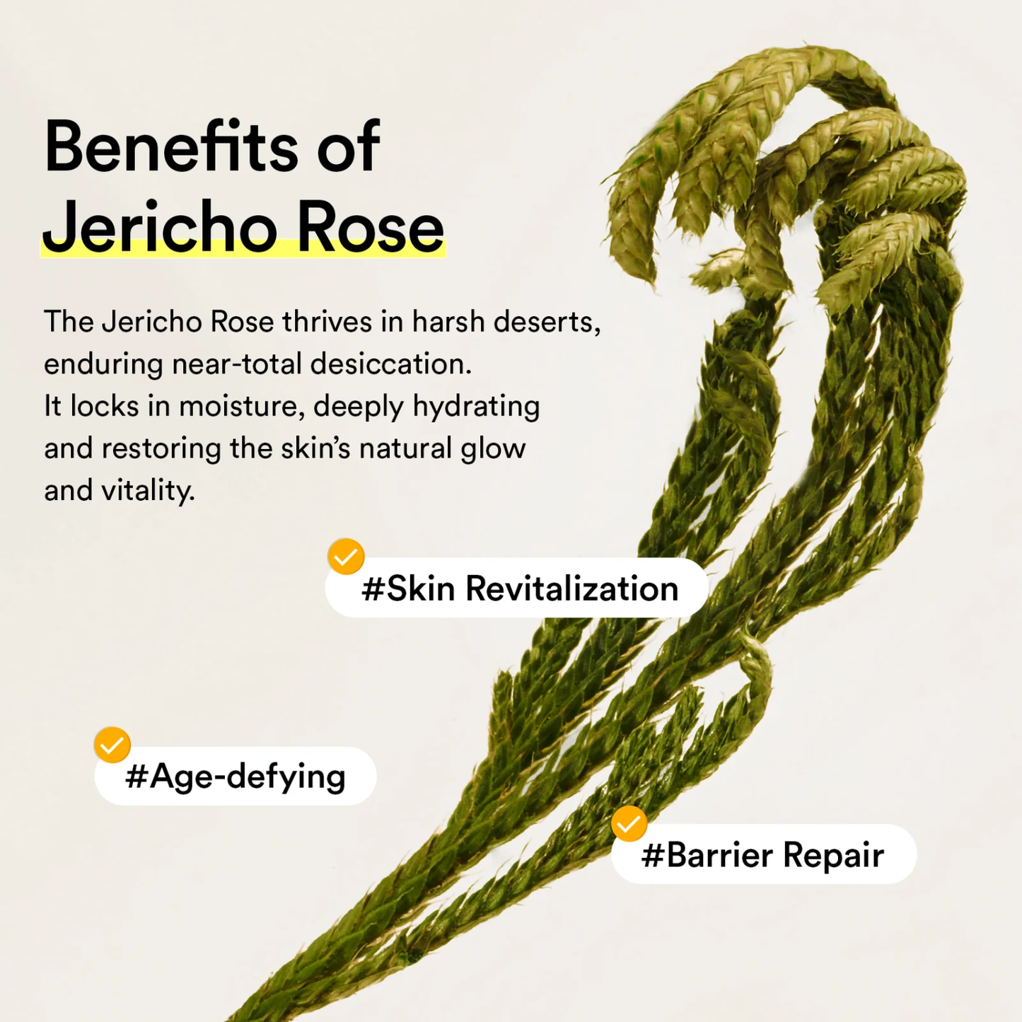 ABIB Jericho Rose Mist Serum Glow Spray 100ml